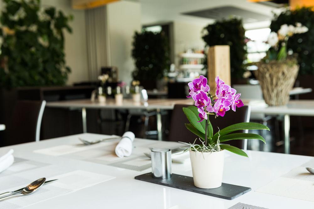 Hotel Apart - Welcoming L Urban Feel L Design Risch-Rotkreuz ภายนอก รูปภาพ